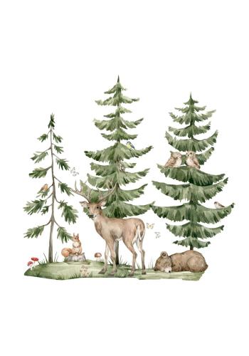 Sada nálepiek na stenu - les