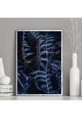 Prírodný plagát v odtieňoch modrej s motívom paprade