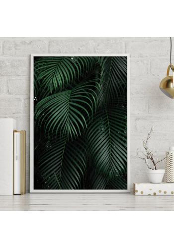 Plagát s prírodným motívom palmových listov