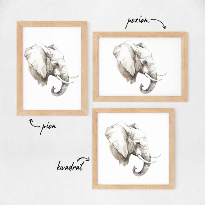 Plagát s portrétom slona na bielom pozadí