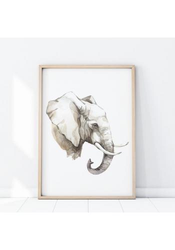 Plagát s portrétom slona na bielom pozadí